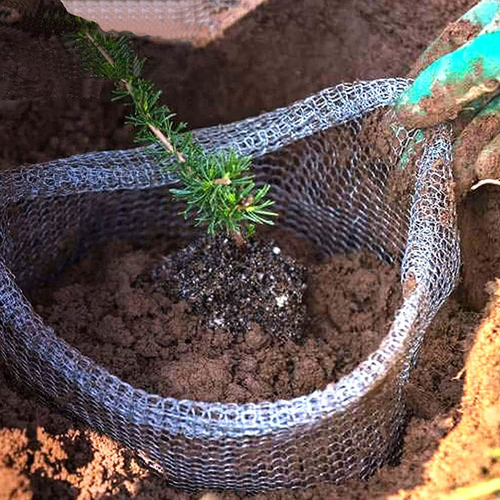 Plant Root Guard Baskets Garde - Mesh Stainless Strap บทวิจารณ์และราคา