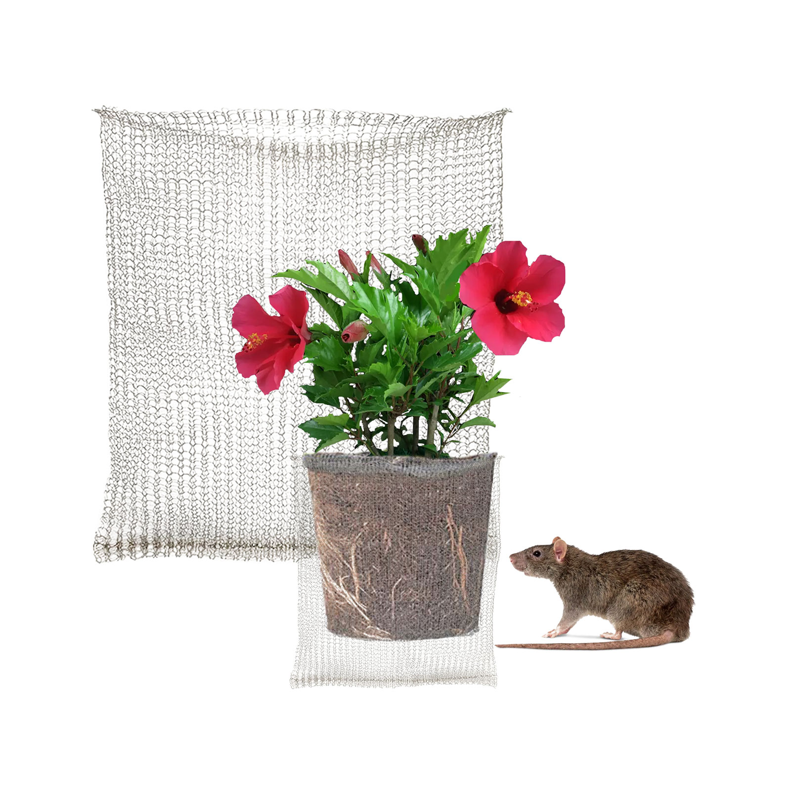 Plant Root Guard Baskets Garde - Mesh Stainless Strap บทวิจารณ์และราคา