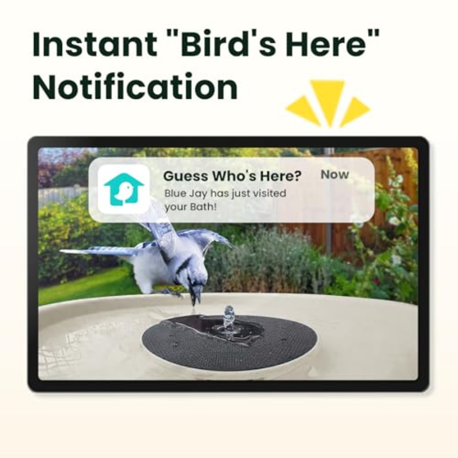 Bird Watching Smart Bird Bath  - Watch Smartwatch บทวิจารณ์และราคา